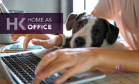 Working from home – The Home Office