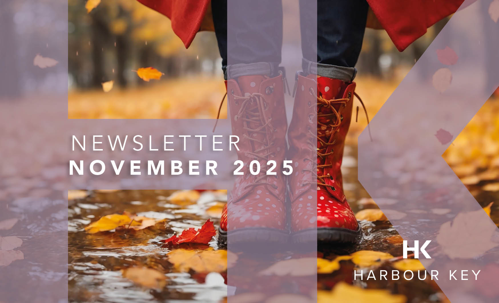 NOVEMBER E-NEWSLETTER 2025